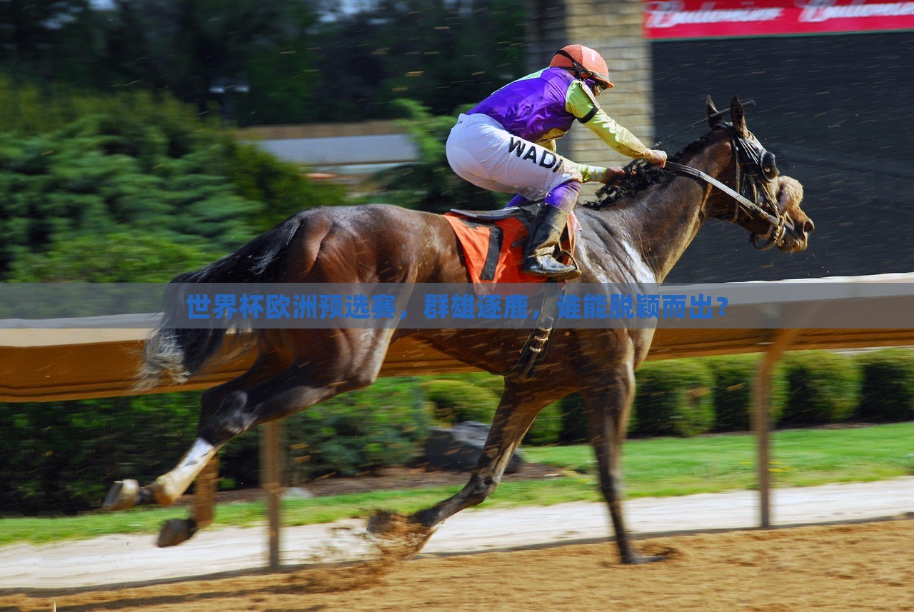 世界杯欧洲预选赛，群雄逐鹿，谁能脱颖而出？